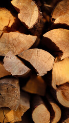 wooden beams, wooden logs, wood texture, wood grain, wood surface