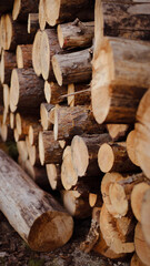 wooden beams, wooden logs, wood texture, wood grain, wood surface