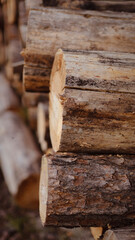 wooden beams, wooden logs, wood texture, wood grain, wood surface