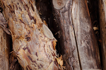 wooden beams, wooden logs, wood texture, wood grain, wood surface