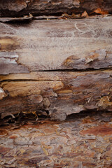wooden beams, wooden logs, wood texture, wood grain, wood surface