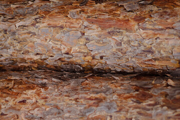wooden beams, wooden logs, wood texture, wood grain, wood surface