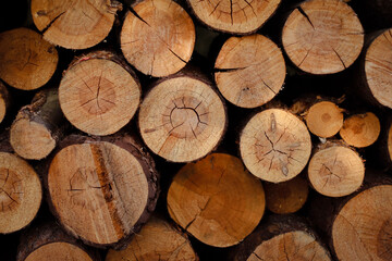 wooden beams, wooden logs, wood texture, wood grain, wood surface
