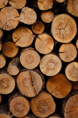 wooden beams, wooden logs, wood texture, wood grain, wood surface