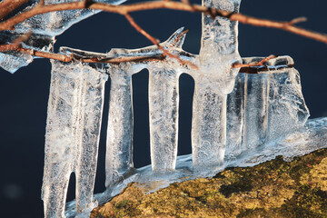 Icicles hanging from branches near a frozen river in winter sunlight