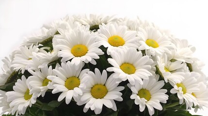 Obraz premium Beautiful Bouquet of White Daisies Close Up