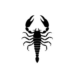 Obraz premium Black silhouette of a scorpion on white background 