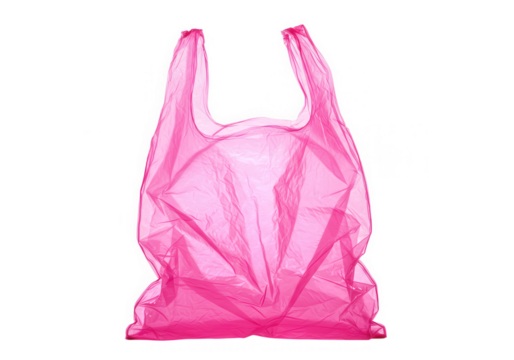 Two mosquitoes are seen in a closeup shot, isolated on transparent background, with their delicate wings and legs visible