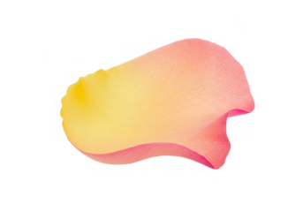 Weathered blue window shutters are open, isolated on transparent background, revealing the rustic charm of a vintage architectural element