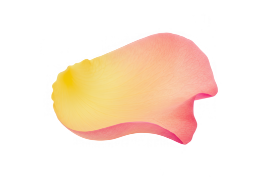 Weathered blue window shutters are open, isolated on transparent background, revealing the rustic charm of a vintage architectural element