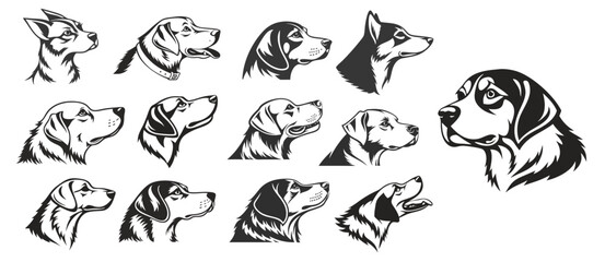 Dog breeds vector illustration set ,collection, different , dog, breeds head , face,  profiles dog breeds silhouettes vector graphics