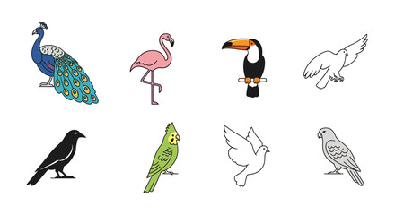 Obraz premium Vector explore australian wildlife animals kangaroo koala platypus emu wombat cockatoo dingo vector illustration