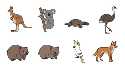 Vector exotic bird species illustration peacock flamingo toucan parrot dove crow hawk wildlife avian fauna nature art