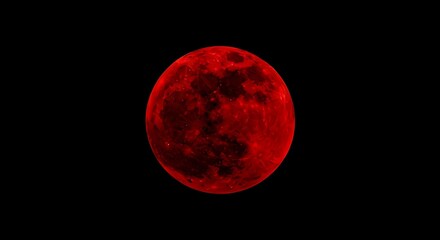 Fototapeta premium Blood moon photography lunar eclipse red moon astronomy space celestial event night sky full moon view