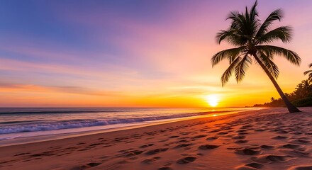 Tropical beach sunset palm trees ocean waves sand nature travel vacation beautiful sky paradise 100 char