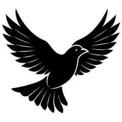 dove of peace silhouette on the white background