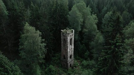 Ruined stone tower surrounded by dense forest trees   - Powered by Adobe