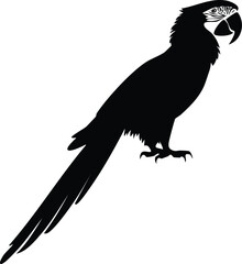 Elegant Macaw Bird Silhouette Vector EPS Downloadable Bird Silhouette Vector Illustration Featuring a Perched Macaw with Low-Hanging Tail Feathers