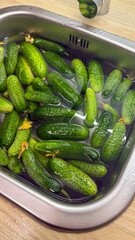 Crisp cucumbers bask in gleaming sink, a prelude to pickling artistry; celebrate National Pickle Day and fermentation enchantment