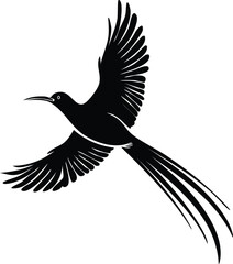 Elegant Bird Silhouette Vector EPS Resplendent Quetzal in Flight, Birds Silhouette Illustration Download