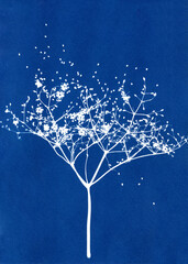 Creative sun print. Silhouette of plant on a blue background. Alternative photography. Abstract plant illustration. Cyanotype sun print.
