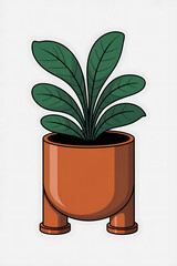 Potted plant with deep green leaves in terracotta pot.
