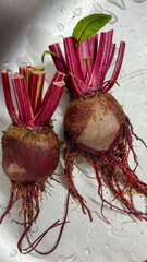 Rugged beetroot roots with ruby stems evoke autumnal solstice rituals, biodynamic feast, and Lunar...