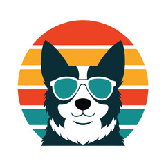 Border Collie Wearing Sunglasses on Sunset
