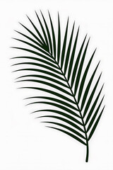 Dark silhouette of a palm frond.
