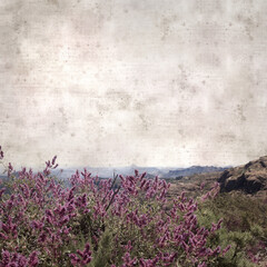 textured stylish old paper background, square, with landscape of central Gran Canaria, Canary Sage 
