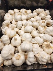 Fresh Garlic Bulbs on Display in a Market Stall
