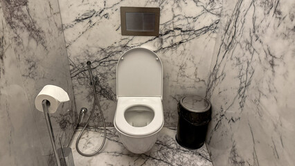 Gleaming marble sanctuary for introspective musings, rooted in World Toilet Day, peculiar porcelain...