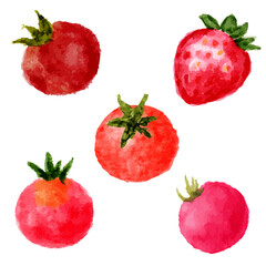 a group of four different colored tomatoes