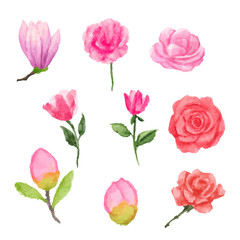 a set of watercolor flowers and leaves