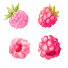 a set of four raspberrys with leaves