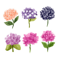 a set of four watercolor hydrant flowers