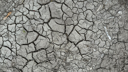Cracked earth under a withered moonlit sky, symbolizing desertification awareness, vivid climate...