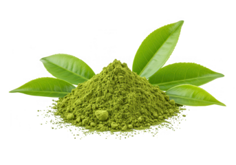 A mound of finely ground matcha powder is presented with several lush green tea leaves isolated on transparent background