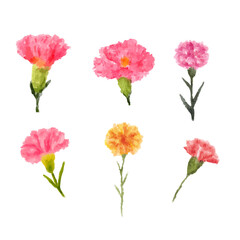 Obraz premium a bunch of flowers that are painted in watercolor