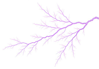 A vivid purple lightning bolt with intricate branching lines, isolated on transparent background