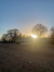Misty dawn breaks over a frost-kissed meadow, evoking Beltane whispers and hygge tranquility amidst bare winter trees