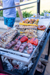 Variety of meat, vegetables and skewers grilling on barbecue grill over hot coals