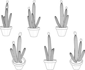 Vector sketch illustration of cactus houseplant design in pot for home interior decoration 