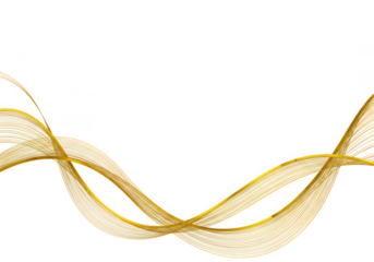 Abstract golden waves flow gracefully, isolated on transparent background