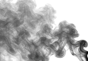 Fototapeta premium Abstract grey smoke swirls and curls, isolated on transparent background