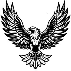 Fototapeta premium eagle with wings