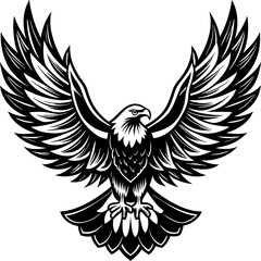 Obraz premium eagle with wings