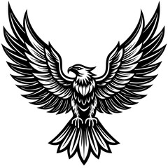 Obraz premium eagle with wings