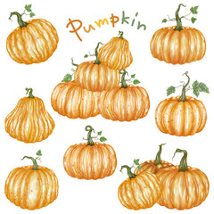 A collection of pumpkin watercolor graphics, versatile for use as Halloween decorations, stickers, illustrations, paper designs, Halloween elements, scrapbooks, digital prints, and more.