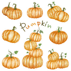 A collection of pumpkin watercolor graphics, versatile for use as Halloween decorations, stickers, illustrations, paper designs, Halloween elements, scrapbooks, digital prints, and more.